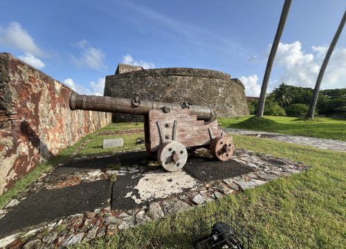 Fort Exploration