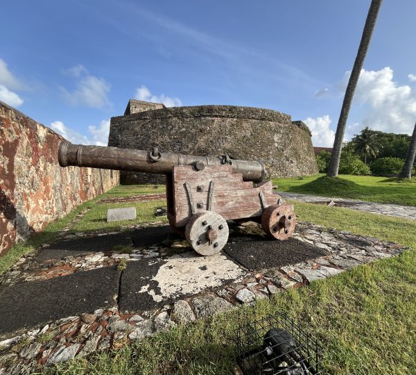 Cannon