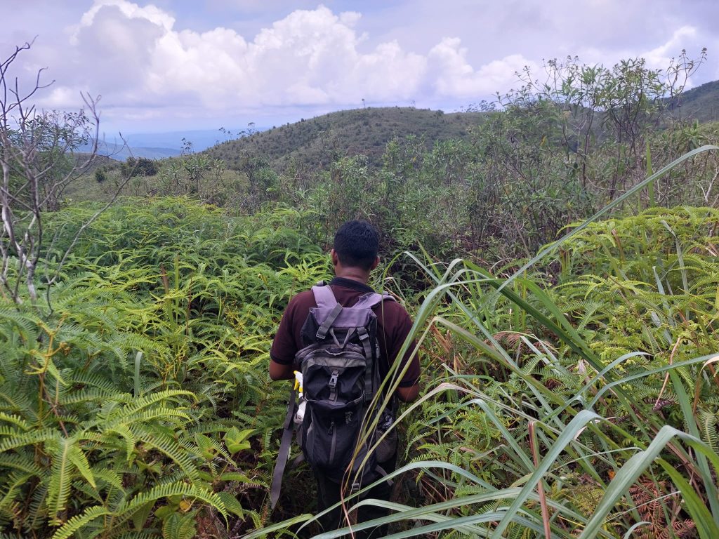 Trekking