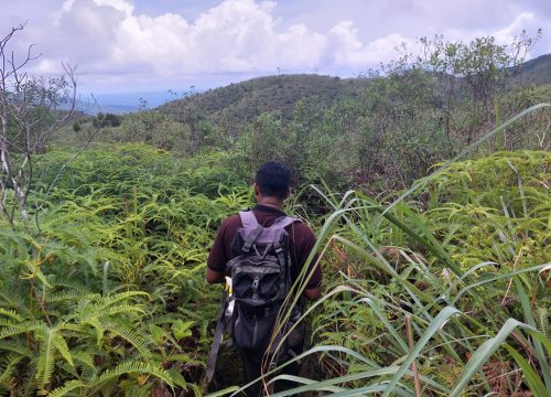 Trekking